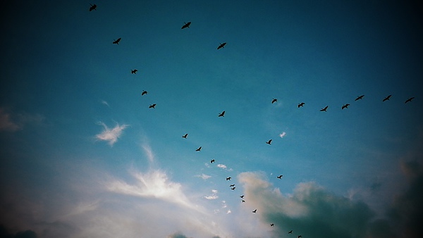 C360_2013-08-17-17-56-13-571.jpg C360_2013-08-17-17-56-13-571.jpg